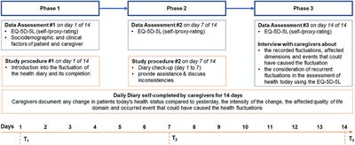 Fluctuations of health states in dementia diseases and their impact on the assessment of health today using the EQ-5D-5L: Protocol of a mixed-methods study